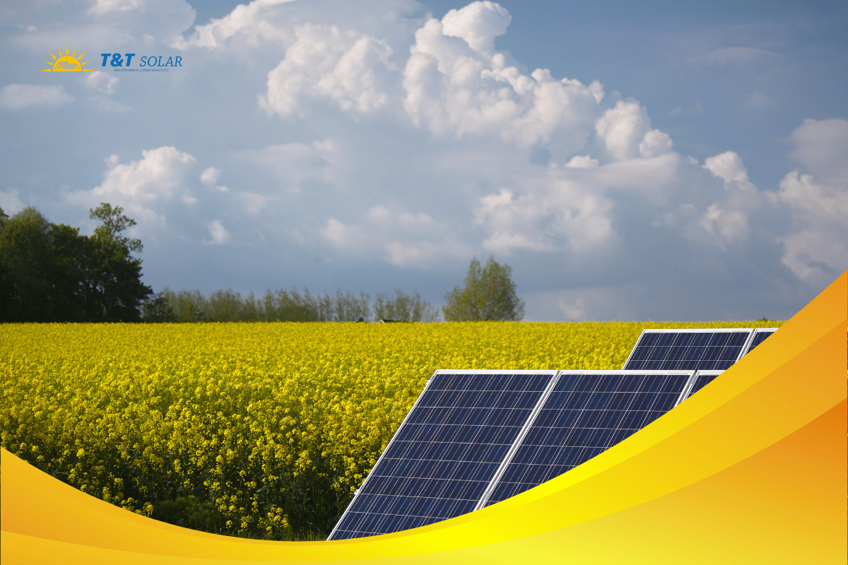 đầu tư điện mặt trời tại Phú Thọ