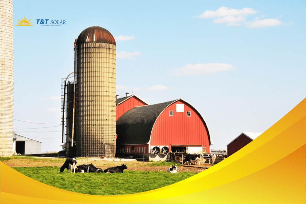 Tư vấn lắp điện mặt trời trang trại