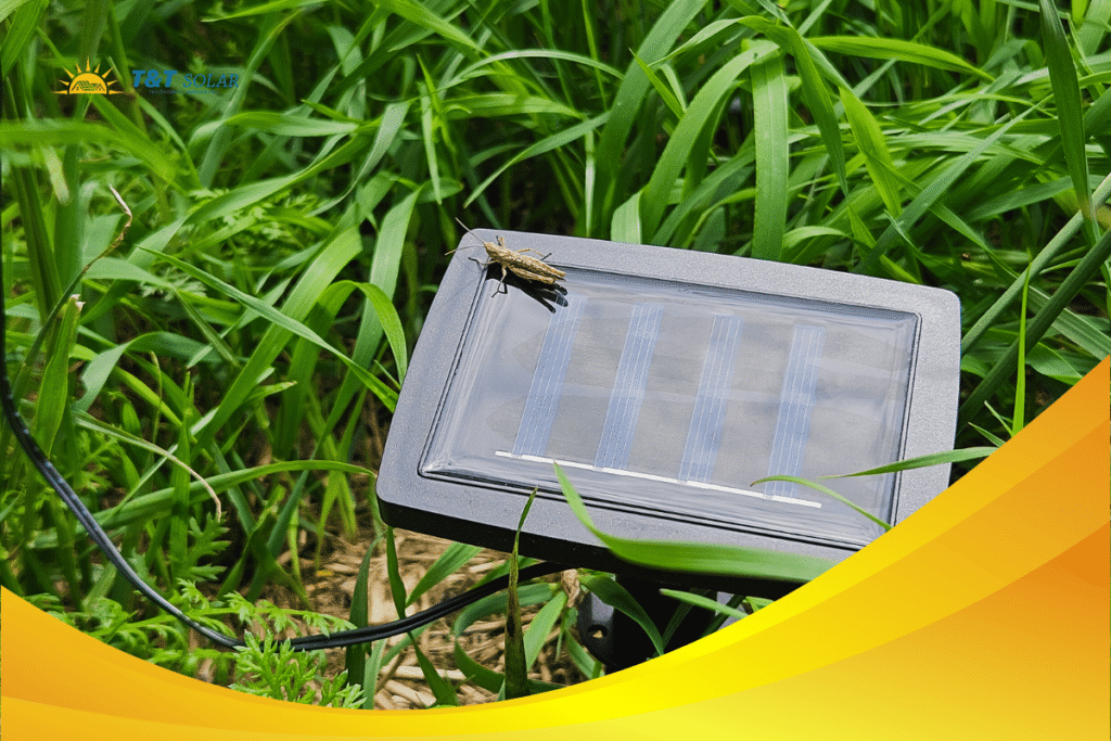 Lắp đặt đèn năng lượng mặt trời sân vườn